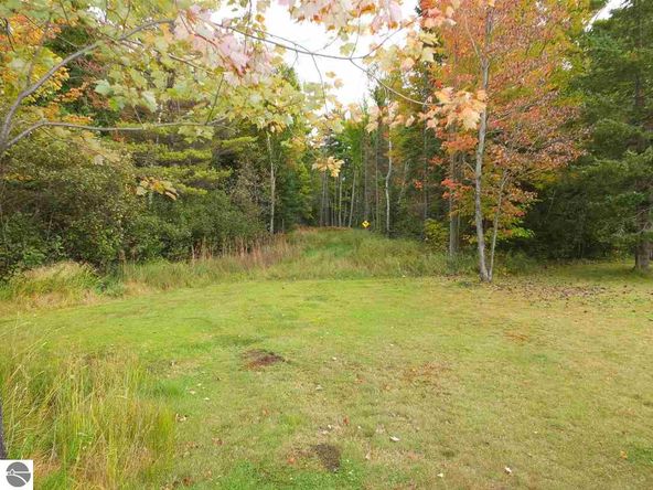 16086 Us Hwy 2, Cooks, MI 49817
